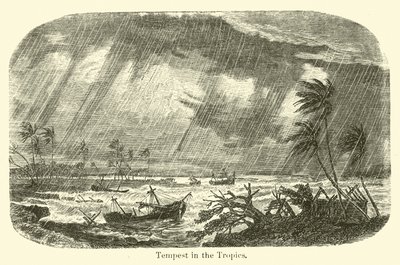 Tempestade nos Trópicos de American School