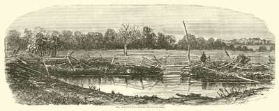 O campo de trigo onde Reynolds caiu, julho de 1863 de American School