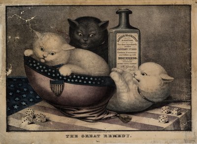 O grande remédio, publicado por EB e EC Kellogg, Hartford Ct. E Phelps e Watson, Nova York, e FP Whiting, Nova York, c. 1863 de American School