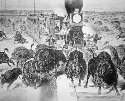 Treinar Passageiros na ferrovia do Kansas Pacific, atirando búfalos para o esporte na década de 1870 (litho) de American School