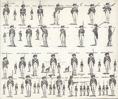 Manual de Armas dos EUA (litho) de American School