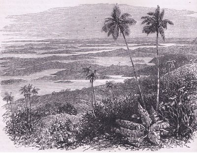 Vista das Bermudas, ilustração de Cassell