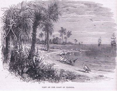 Vista da costa da Flórida, ilustração de Cassell