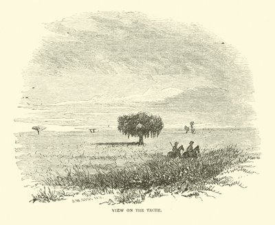 Ver sobre o Teche, abril de 1863 de American School