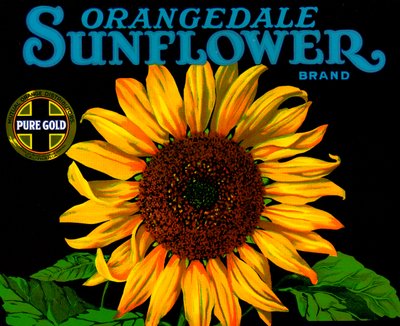 Rótulo da caixa de frutas Vintage Sunflower de American School