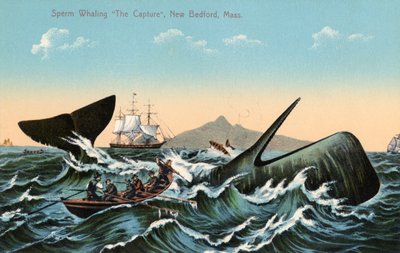 Baleeiros Harpooning a Sperm Whale Off New Bedford, Massachusetts de American School