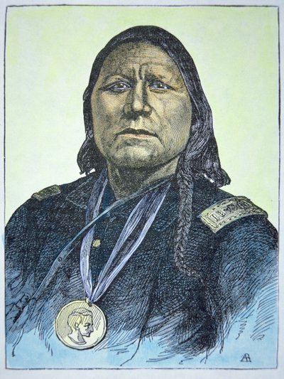 "Urso Branco". de American School