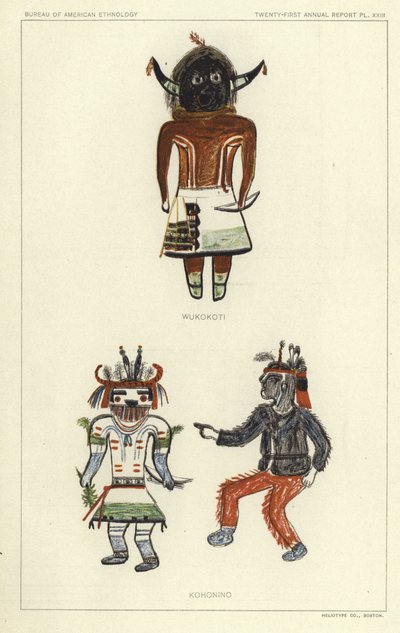Wukokoti, Kohonino (litografia a cores) de American School