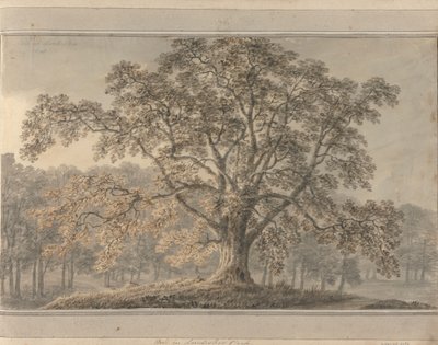 Vistas em Inglaterra, Escócia e País de Gales: Cinzas em Londesbro Park, Maio de 1800 de Amos Green