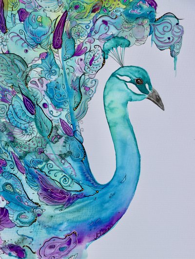 Elegante pavão em aquarela de Amy Tieman