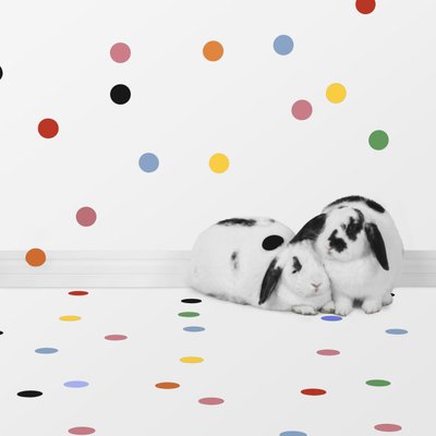 Coelhinhos 05, 2018 (fotografia) de Ana Carolina Tavares Mizrahi