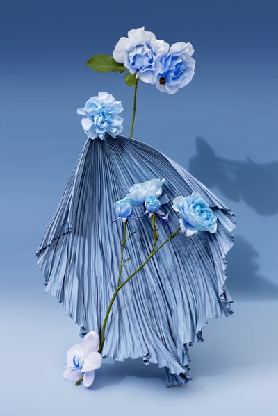 Ikebana 03, 2018 (fotografia) de Ana Carolina Tavares Mizrahi