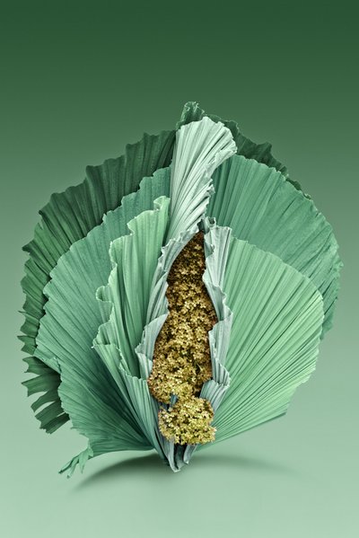 Ikebana 04, 2018 (fotografia) de Ana Carolina Tavares Mizrahi