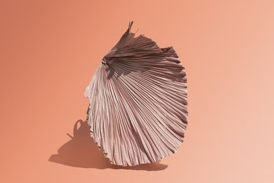 Ikebana 07, 2018 (fotografia) de Ana Carolina Tavares Mizrahi