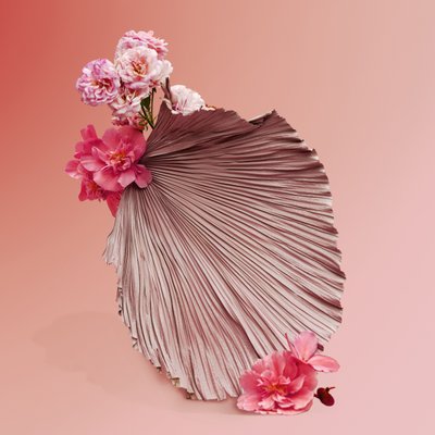 Ikebana 09, 2018 (fotografia) de Ana Carolina Tavares Mizrahi