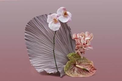 Ikebana 12, 2018 (fotografia) de Ana Carolina Tavares Mizrahi