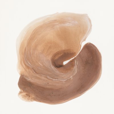 Espiral Castanha Orgânica de Anastasiya Devochkina