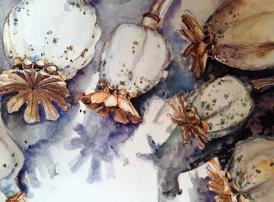 Aquarela de vagens de papoila secas de Anda Bieza