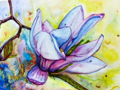 Flor de magnólia vibrante de Anda Bieza