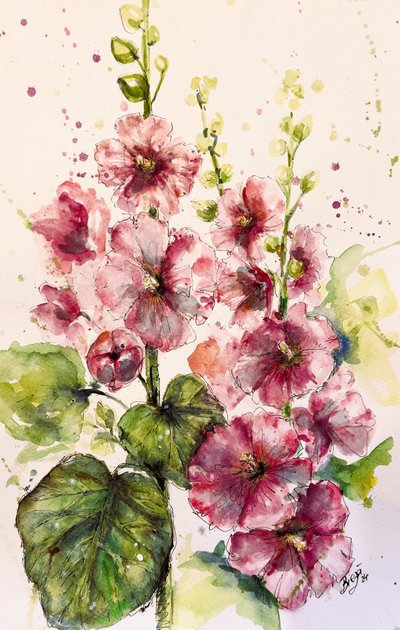 Malvas-rosa vibrantes de Anda Bieza
