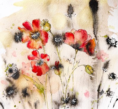 Aquarela de Papoila Selvagem de Anda Bieza