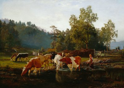 Vacas pelo rio de Anders Askevold