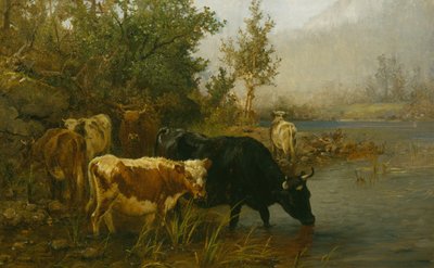 Vacas junto à água de Anders Askevold