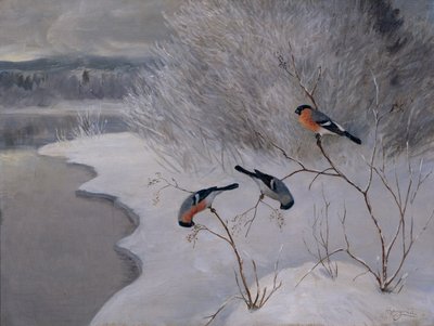 Tribunais de Anders Kongsrud