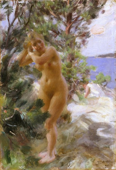 Depois do banho de Anders Leonard Zorn