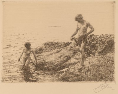 Seaward Skerries, 1913. de Anders Leonard Zorn