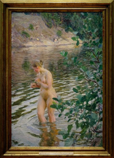 Der kalte Strom von Anders Leonard Zorn