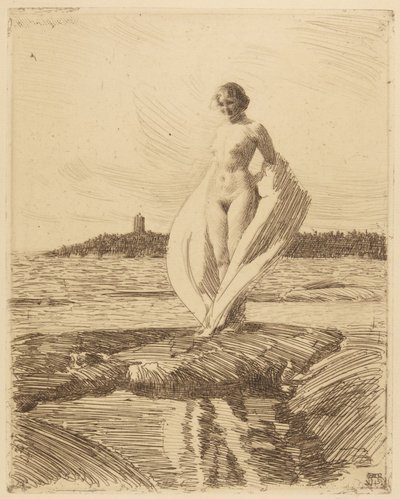 O cisne de Anders Leonard Zorn
