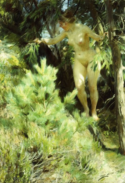 Sprite-madeira, 1892 de Anders Leonard Zorn