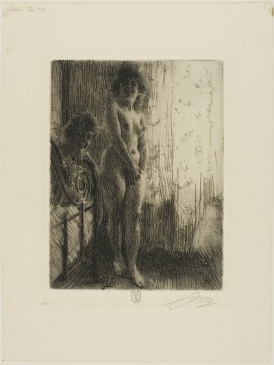 Um canto escuro de Anders Leonard Zorn