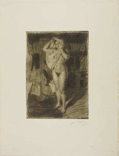 Furiosa de Anders Leonard Zorn