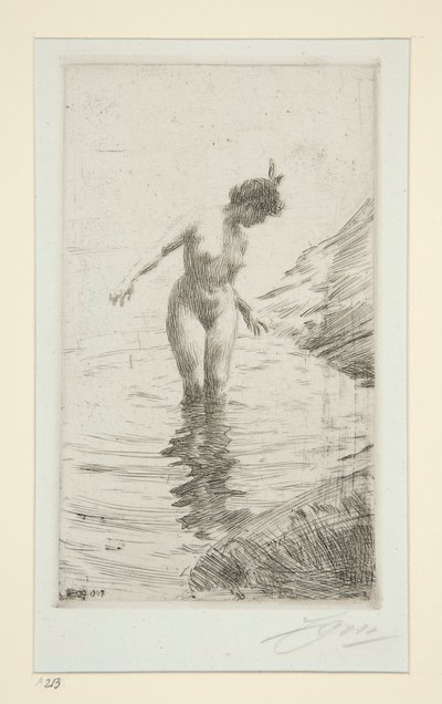 Círculos de de Anders Leonard Zorn
