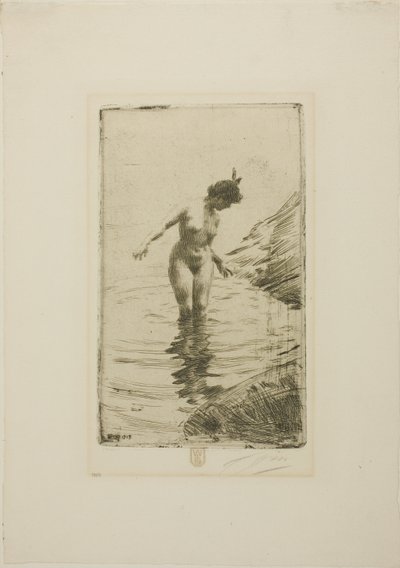 Círculos de água II de Anders Zorn