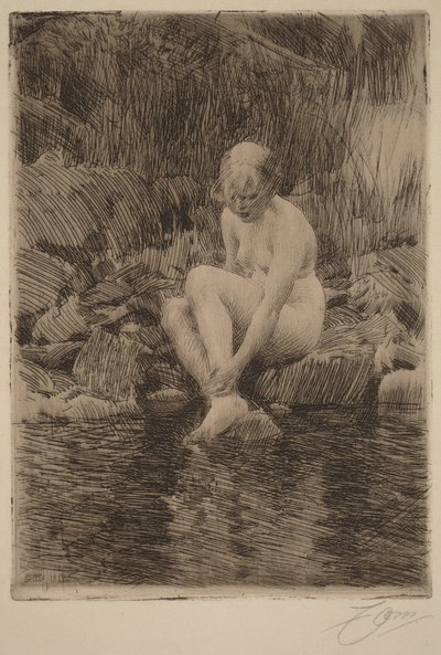  de Anders Zorn