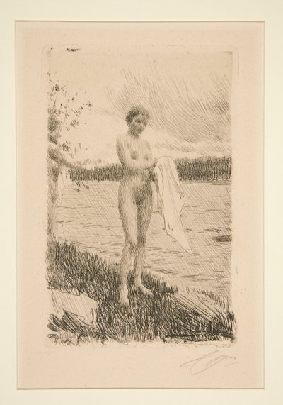 Rio Dal de Anders Leonard Zorn