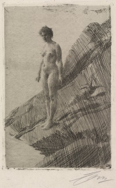 É isso de Anders Zorn