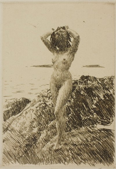 Hårtång (coroa de algas marinhas) de Anders Zorn