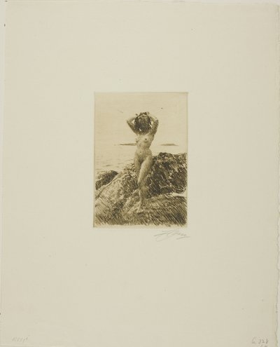 Hårtång (coroa de madeira do mar) de Anders Leonard Zorn