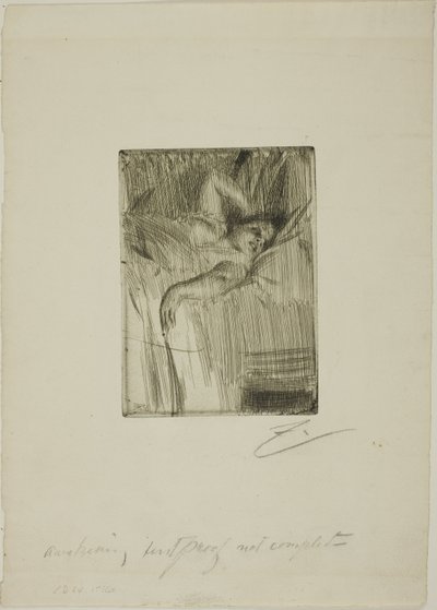 O alarme de Anders Leonard Zorn