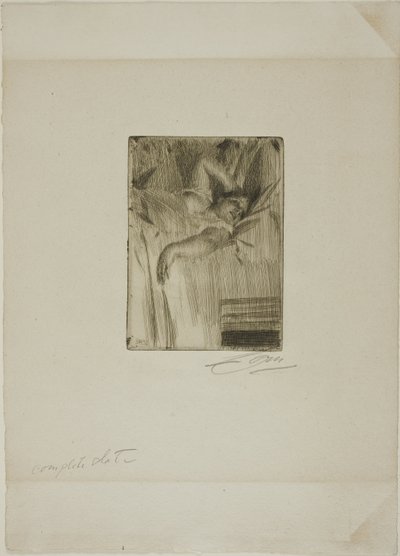 O alarme de Anders Leonard Zorn