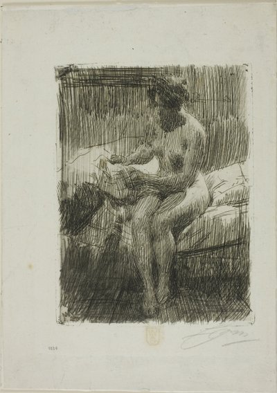 Leitura do modelo de Anders Leonard Zorn