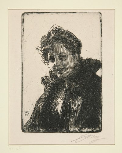  de Anders Zorn