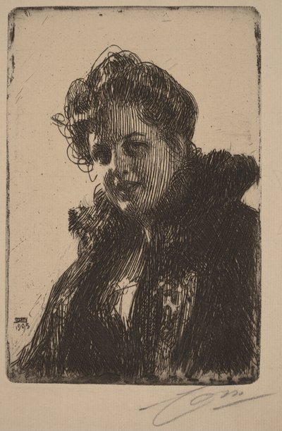  de Anders Zorn