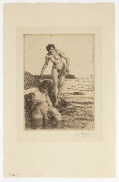 Na ilha de Hemsö de Anders Zorn