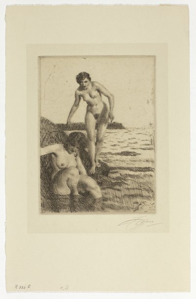 Na ilha de Hemsö de Anders Leonard Zorn