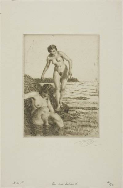 Na ilha de Hemsö de Anders Leonard Zorn
